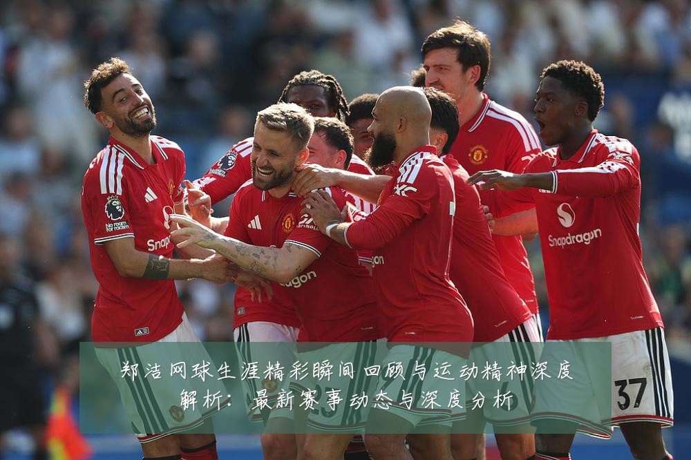 郑洁网球生涯精彩瞬间回顾与运动精神深度解析：最新赛事动态与深度分析